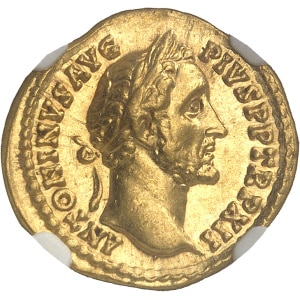 lot 184