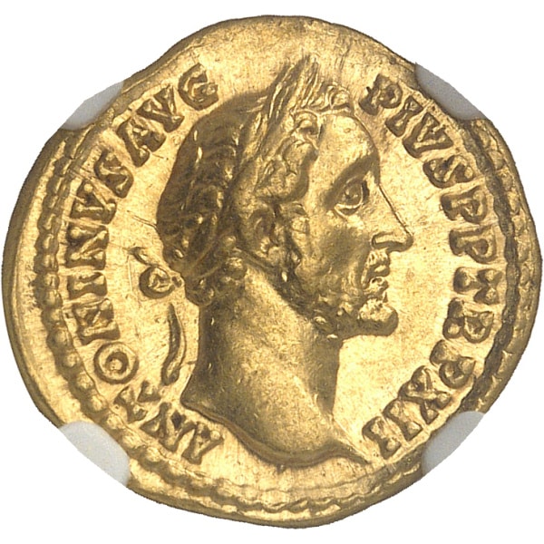lot 184