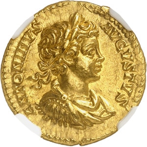 lot 194