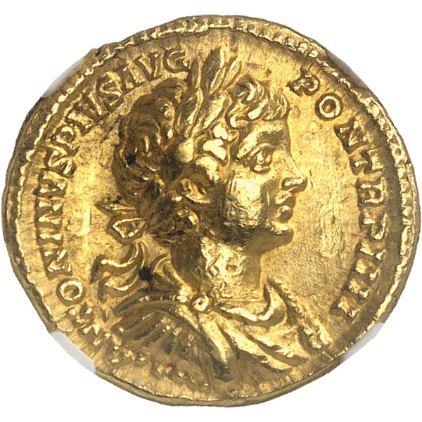lot 195