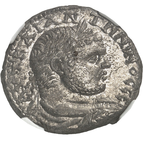 lot 197