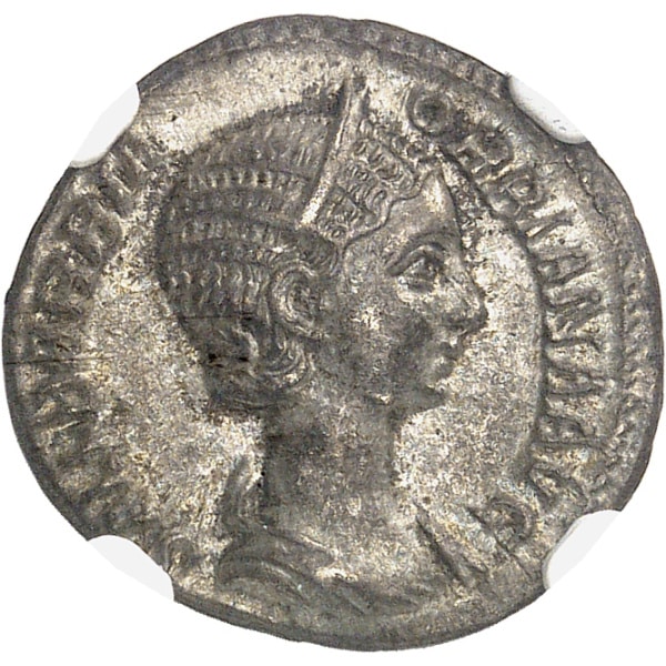 lot 203