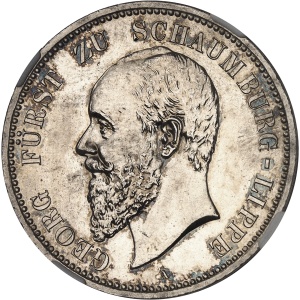 lot 310