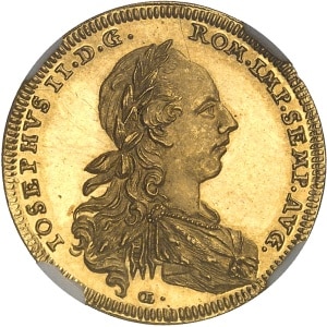 lot 311