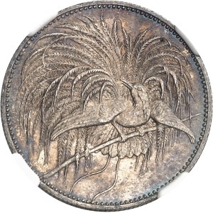 lot 321