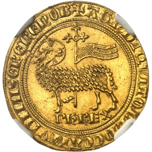 lot 502