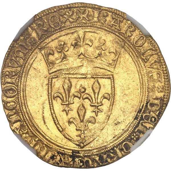 lot 564