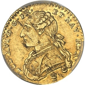 lot 808