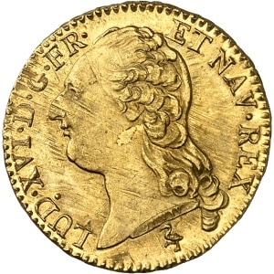 lot 818