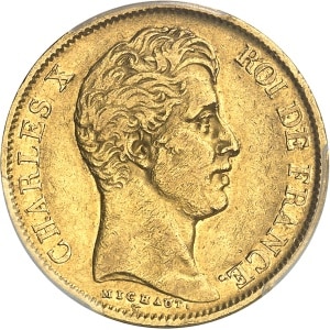 lot 1041
