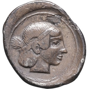 lot 6