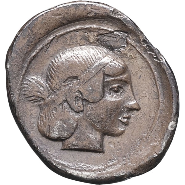 lot 6