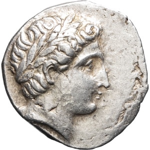 lot 7