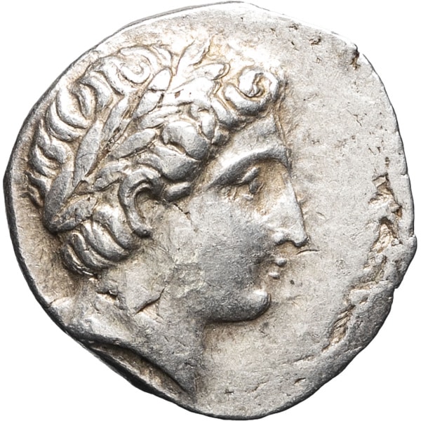 lot 7