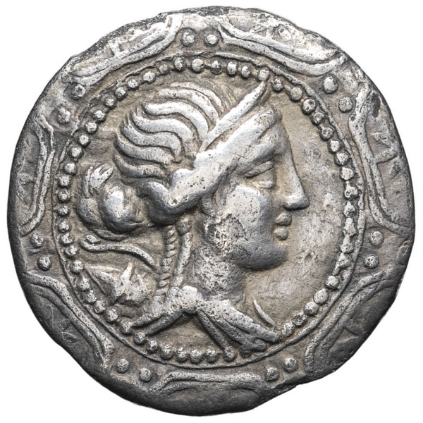 lot 8