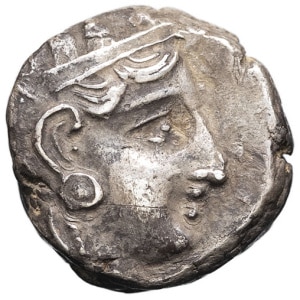 lot 14