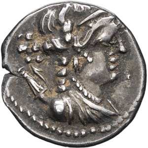 lot 19