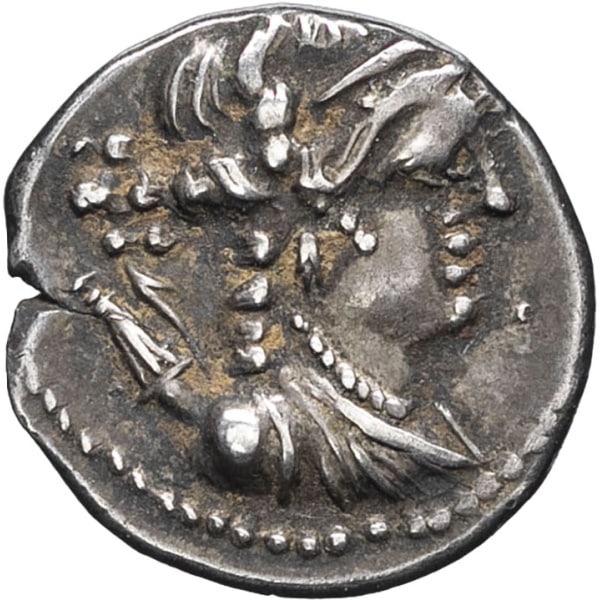 lot 19
