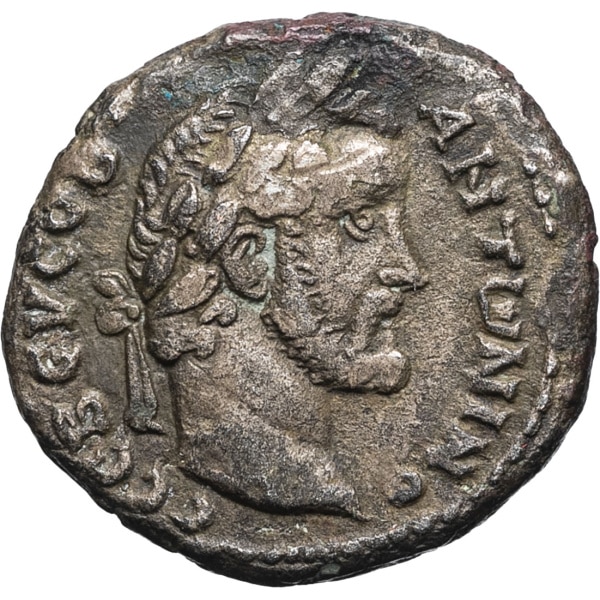 lot 55