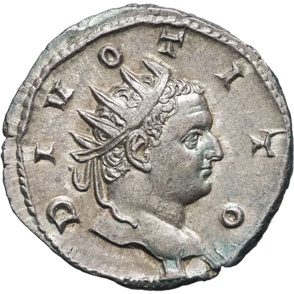 lot 121