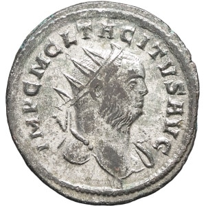 lot 135