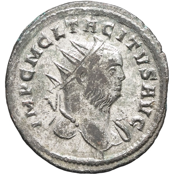 lot 135
