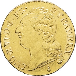 lot 495
