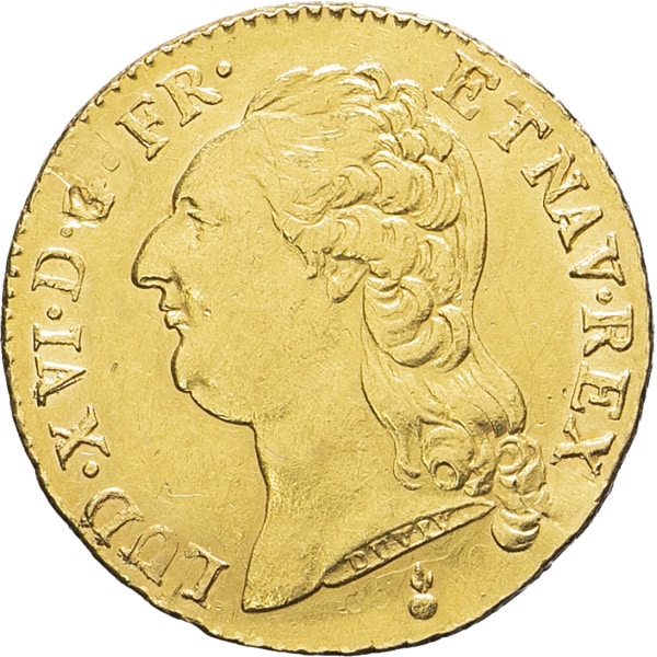 lot 495