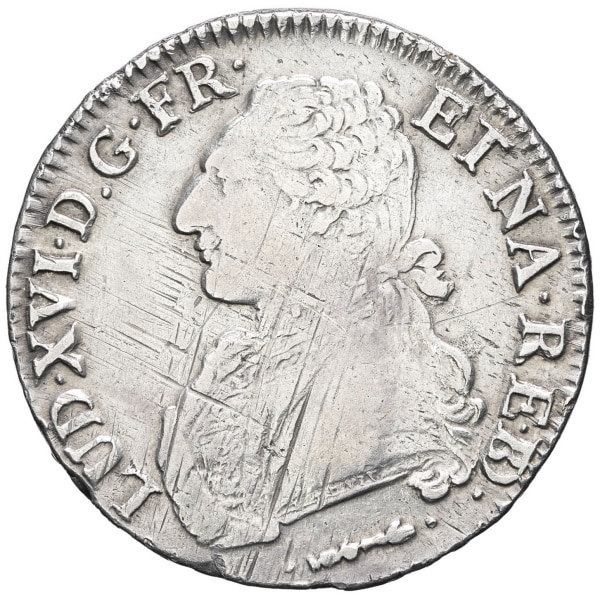 lot 499
