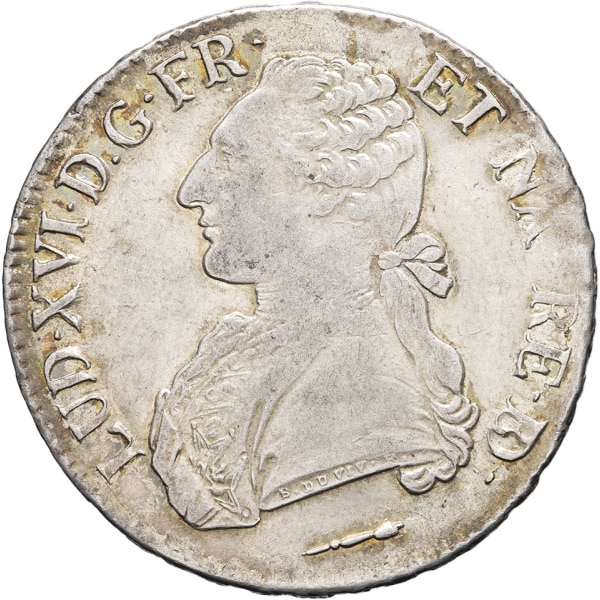 lot 501