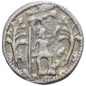 lot 517
