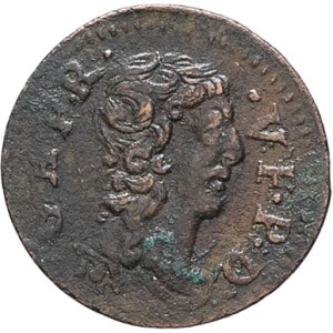 lot 2194