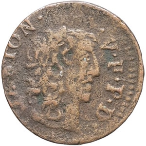 lot 2197