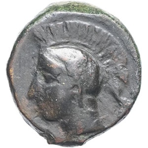 lot 5