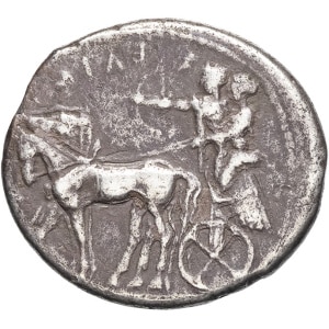 lot 7
