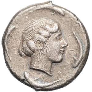 lot 8