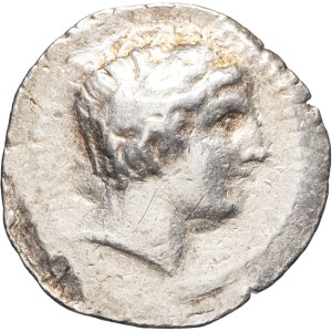 lot 12