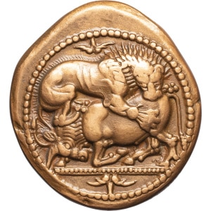 lot 13