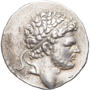 lot 19