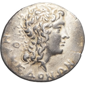 lot 24