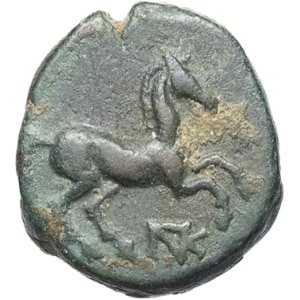 lot 26