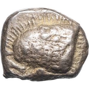 lot 48