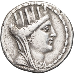 lot 64