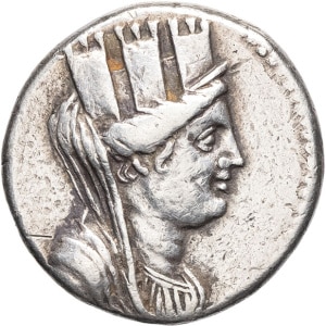 lot 65