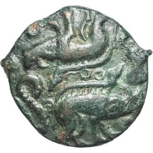lot 101