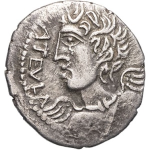 lot 110