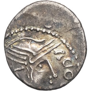 lot 119