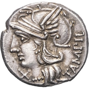 lot 143