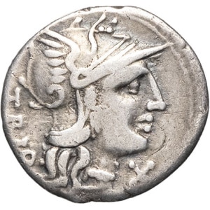 lot 146