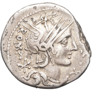 lot 156